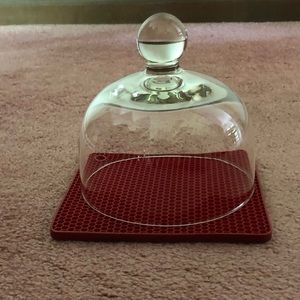 Glass dome in like-new condition